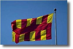 Northumbrian flag