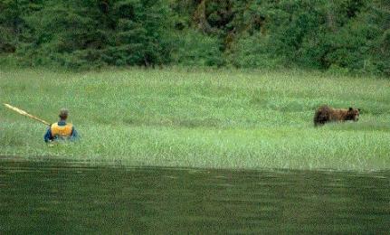 John Payne & brown bear, Misty Fiords