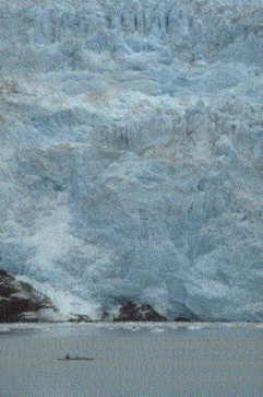 (Riggs Glacier, Glacier Bay)