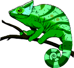 (Chameleon)