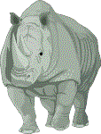 (Rhino picture)